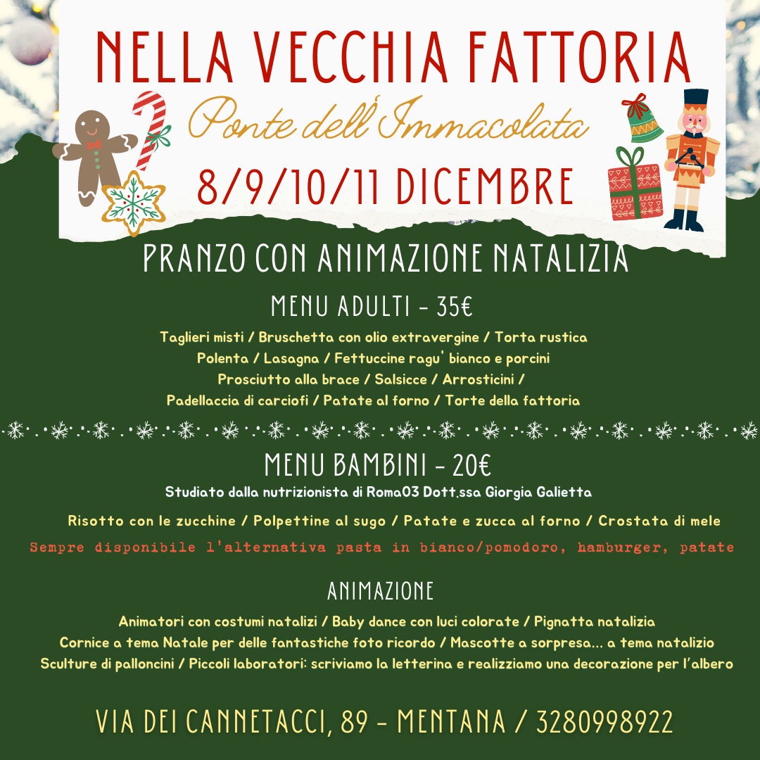 Cosa fare a Roma con i bambini - Weekend 10 e 11 Dicembre - Roma013