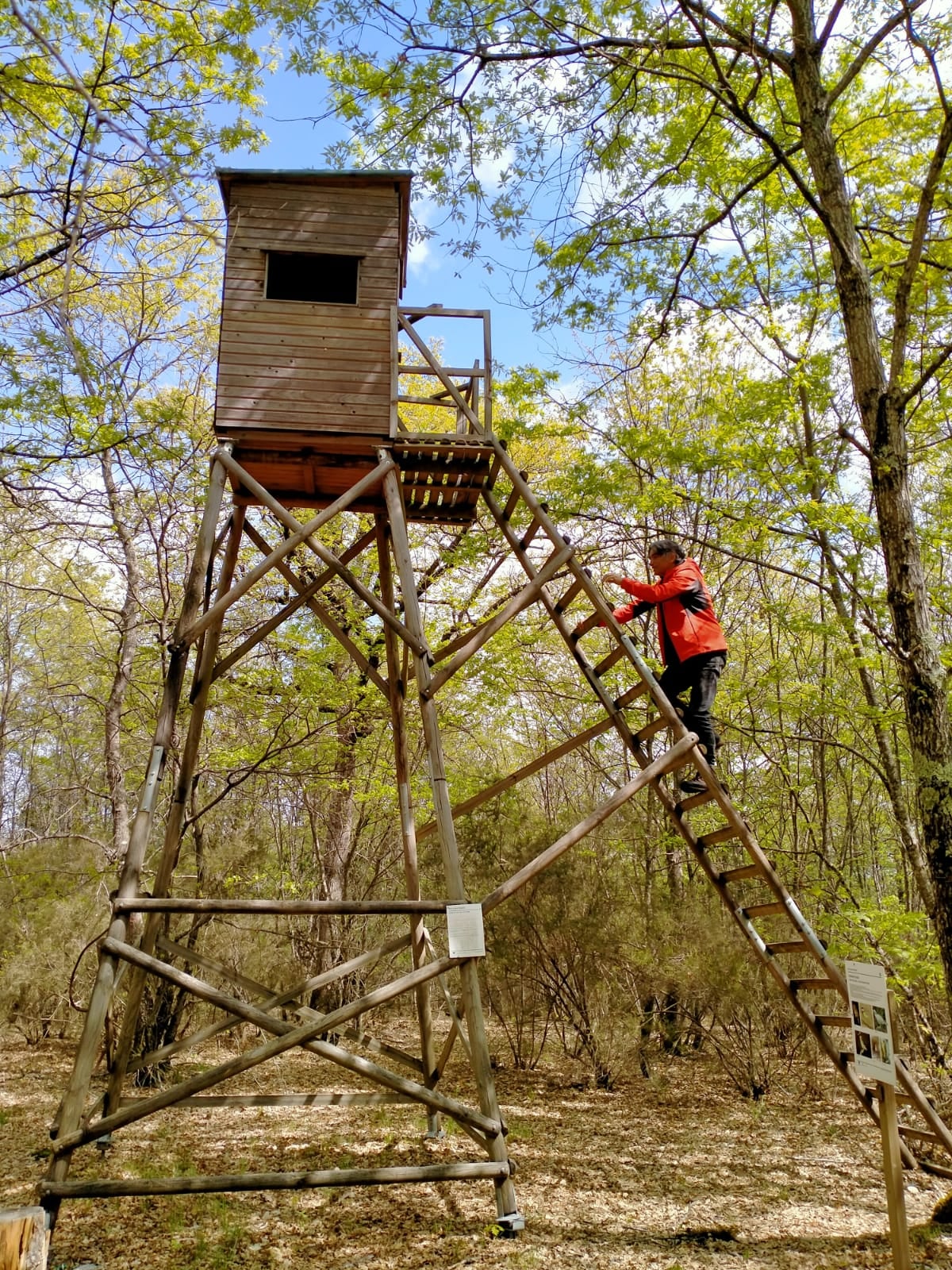 trekking per bambini bosco roma perugia