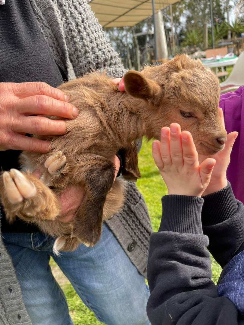 eventi per bambini roma agriturismo per famiglie