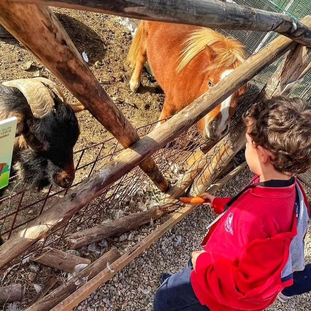 AGRITURISMO PER BAMBINI A ROMA CON FATTORIA DIDATTICA