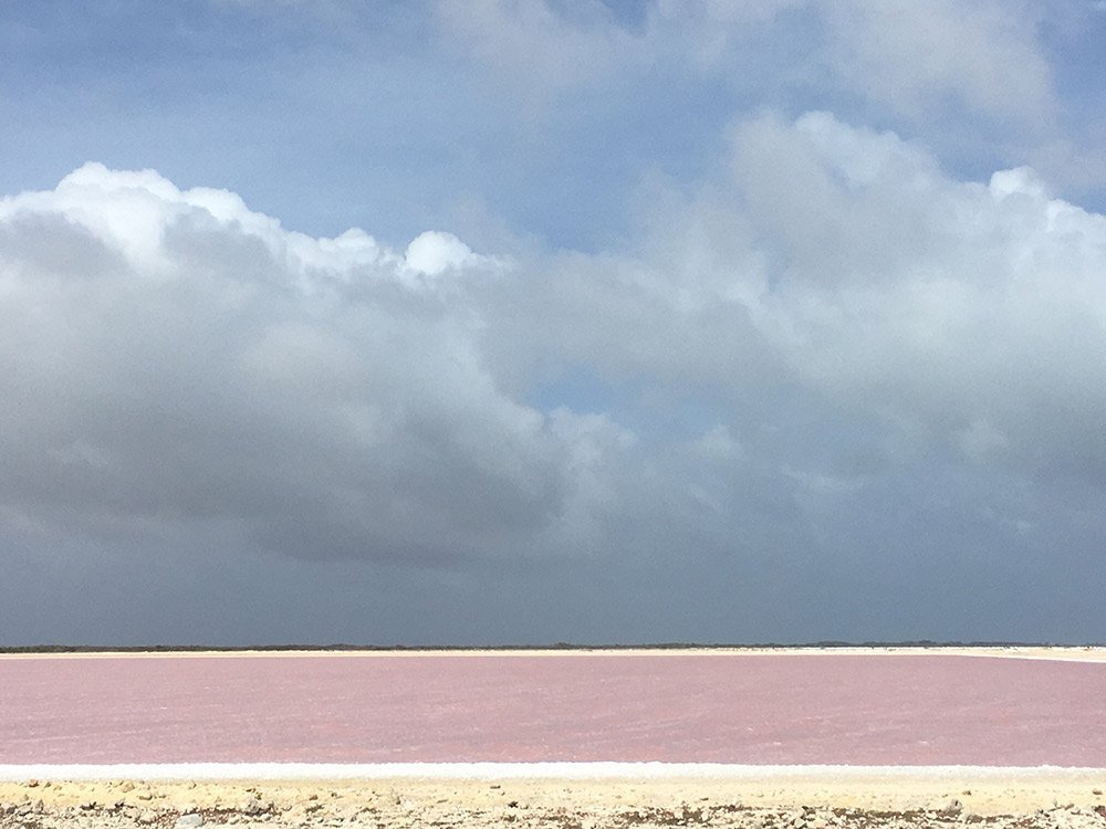 8-saline-a viaggio aruba bambini