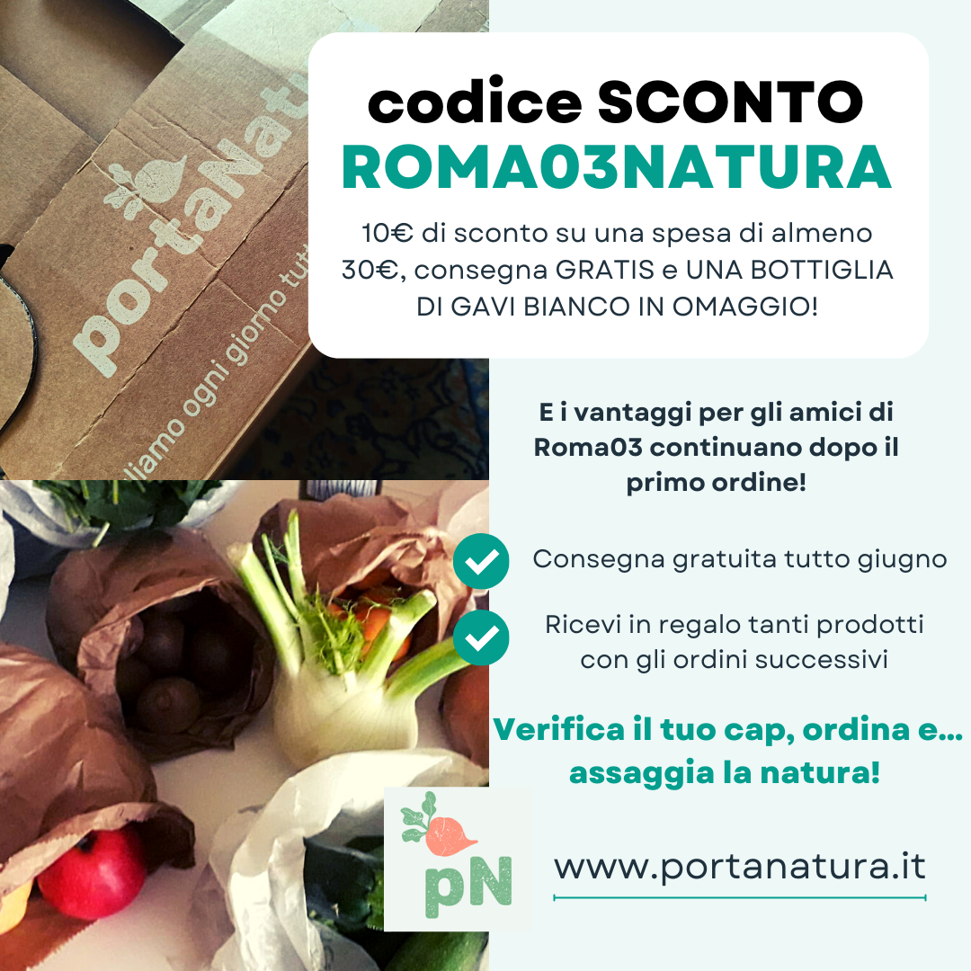 spesa biologica a domicilio roma biodinamica ricetta zucchine