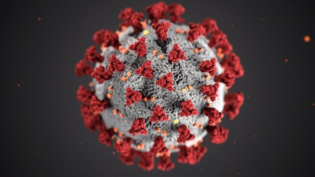 Gonfiabili_e_Virus