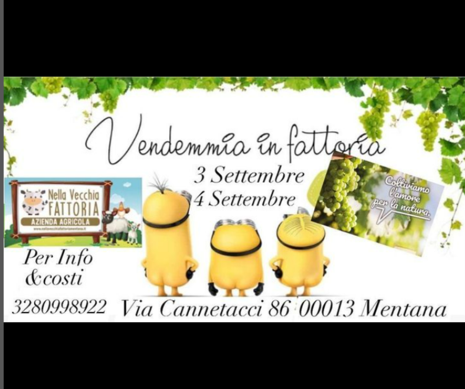 vendemmia con i bambini a roma