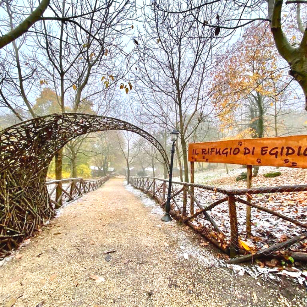 bosco didattico nel cimino escursioni bambini lazio viterbo roma