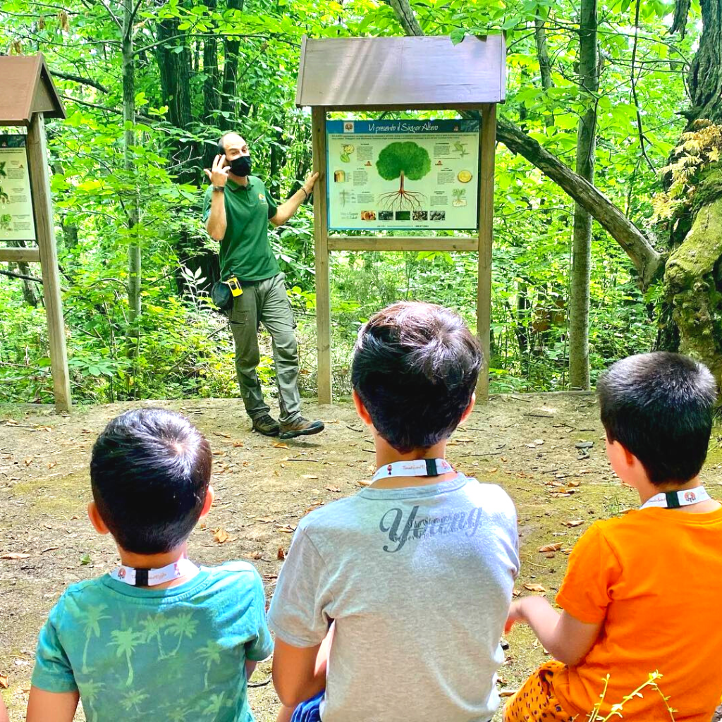 bosco didattico nel cimino escursioni bambini lazio viterbo roma