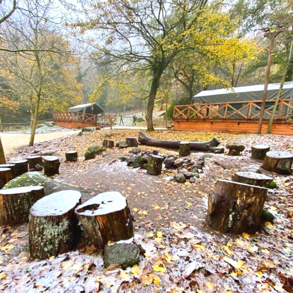 bosco didattico nel cimino escursioni bambini lazio viterbo roma