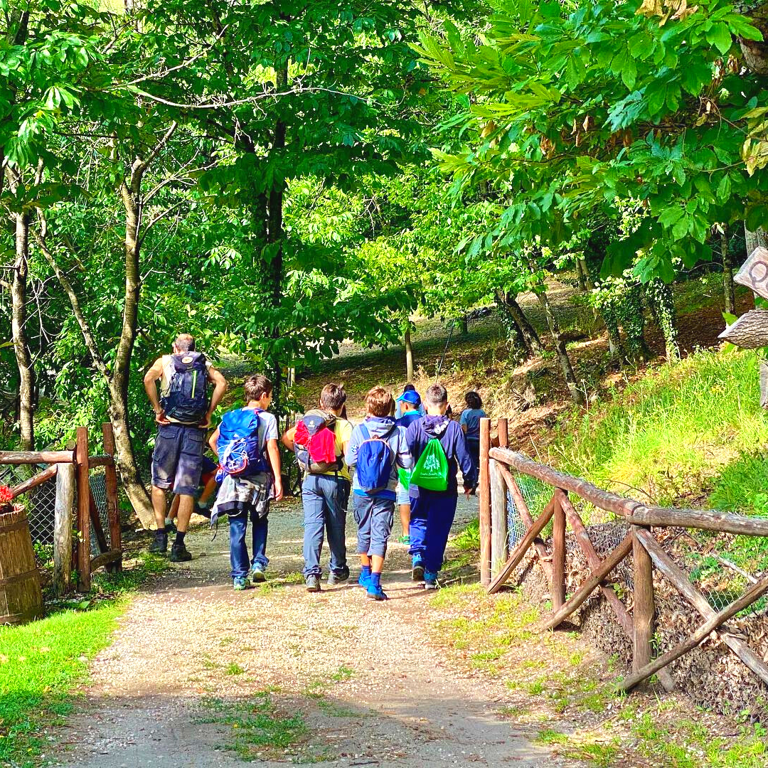 bosco didattico nel cimino escursioni bambini lazio viterbo roma