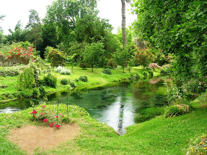 Vegetazione nei pressi del fiume Ninfa