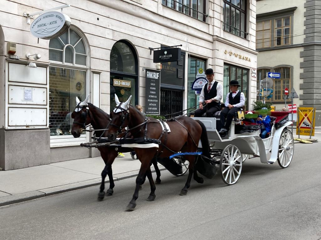 viaggio a vienna con i bambini