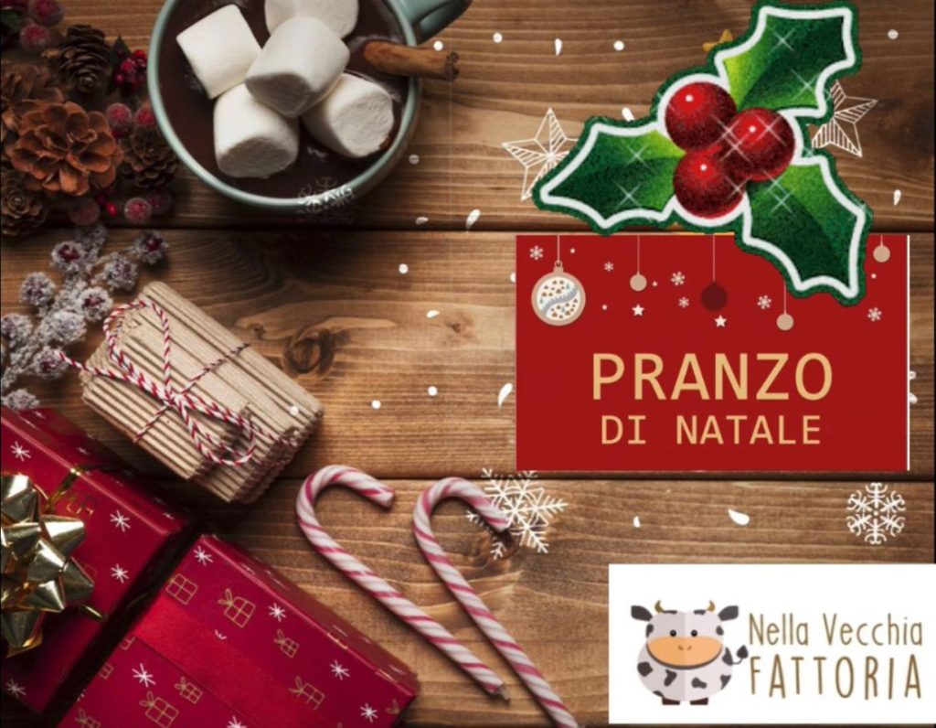 pranzo natale roma per bambini agriturismo nella vecchia fattoria