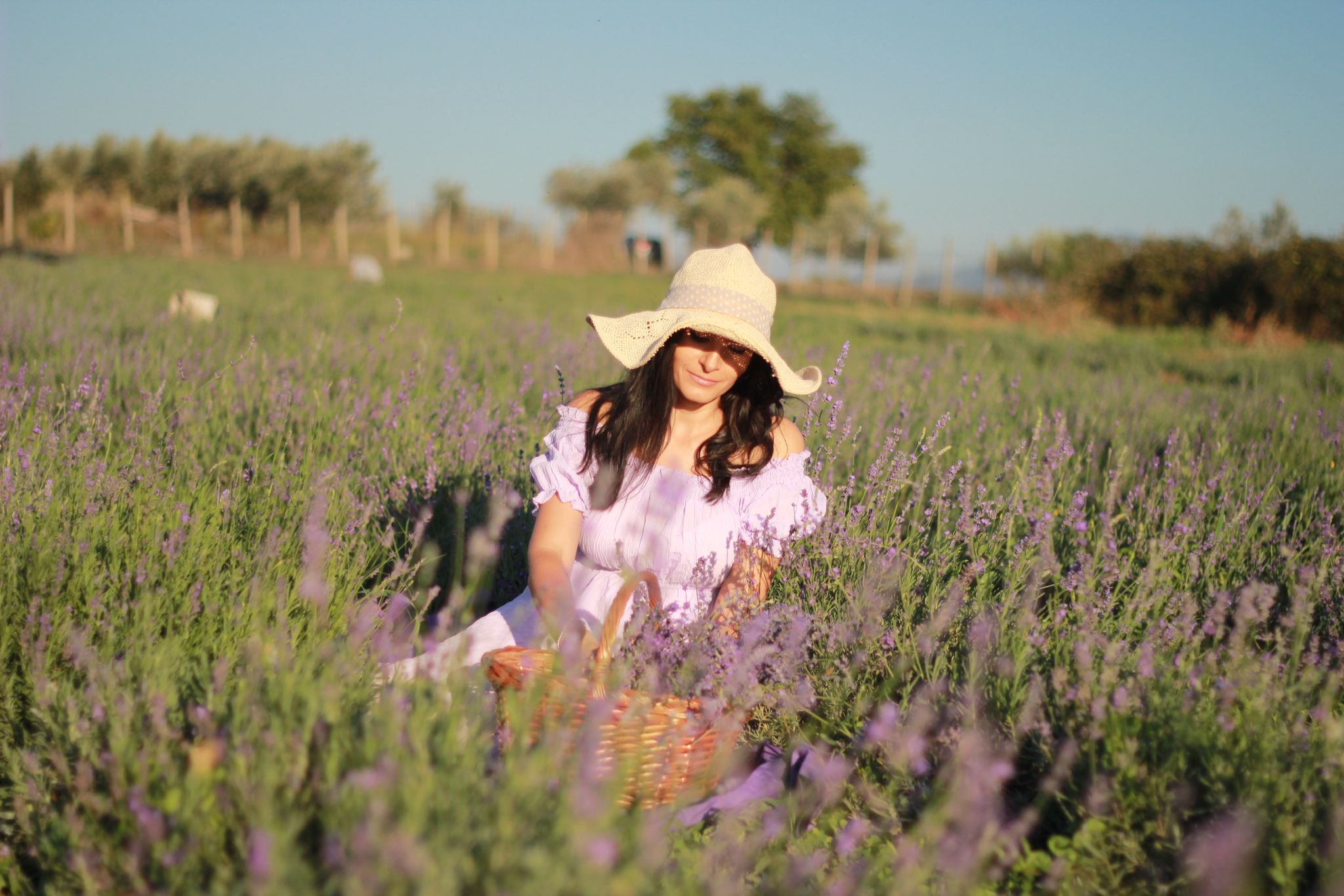 il lavandeto di Roma campo di lavanda francesca de iuliis