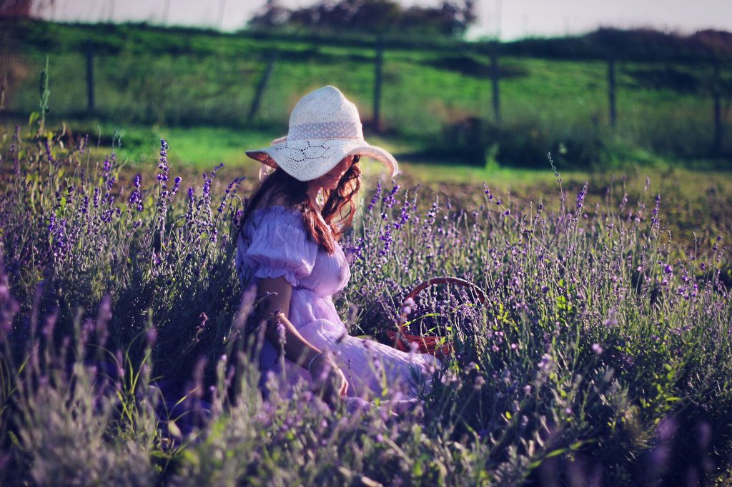 il lavandeto di Roma campo di lavanda francesca de iuliis