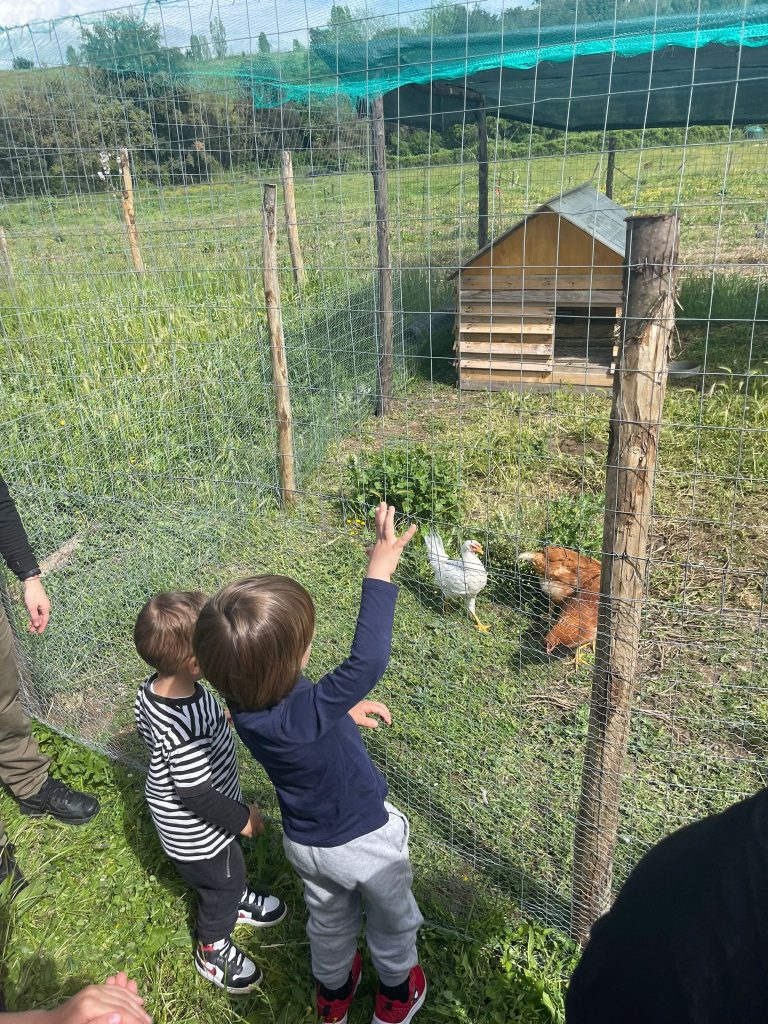 area picnic roma formello fattoria didattica feste per bambini area barbecue