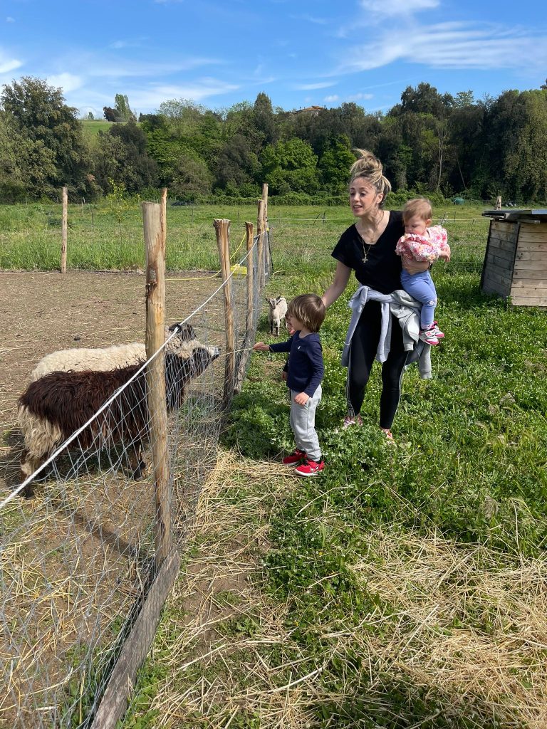 area picnic roma formello fattoria didattica feste per bambini area barbecue