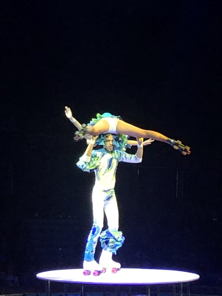 acqua circo roma per famiglie con bambini 20