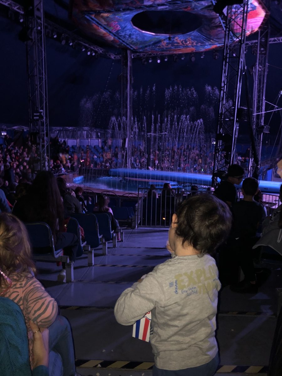 acqua circo roma per famiglie con bambini 20