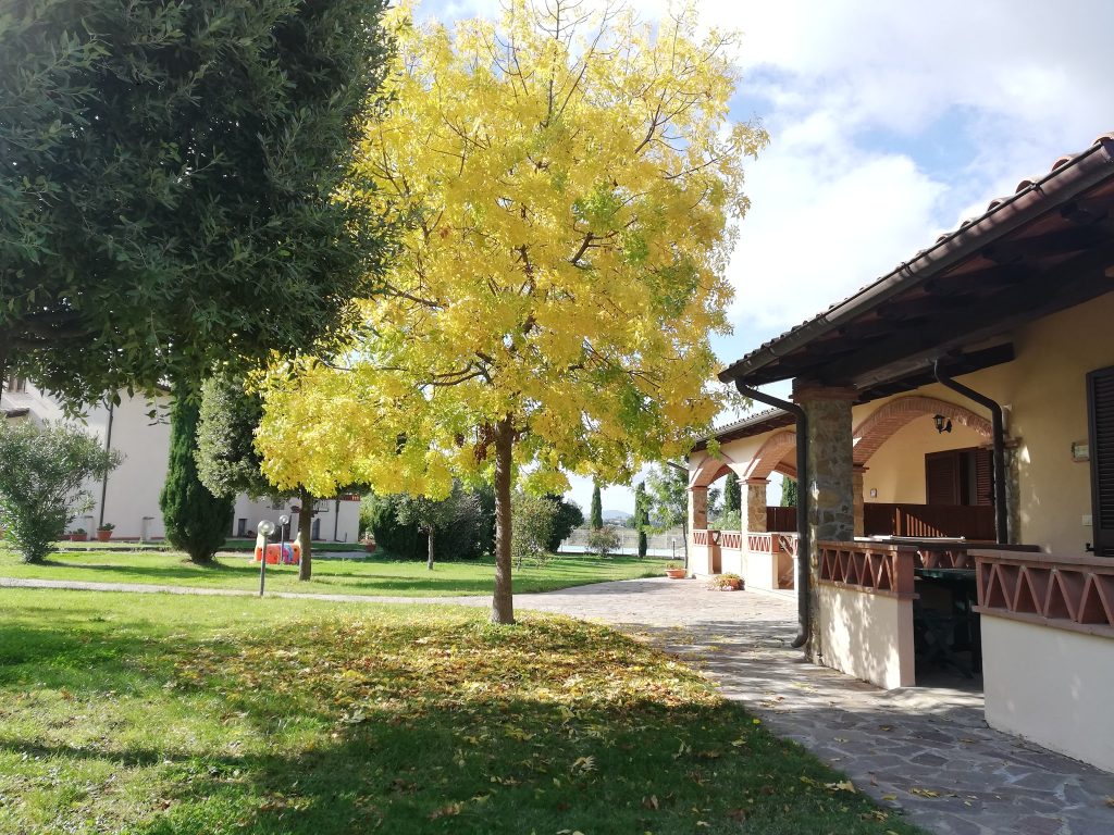 agriturismo per famiglie con bambini viterbo roma i girasoli