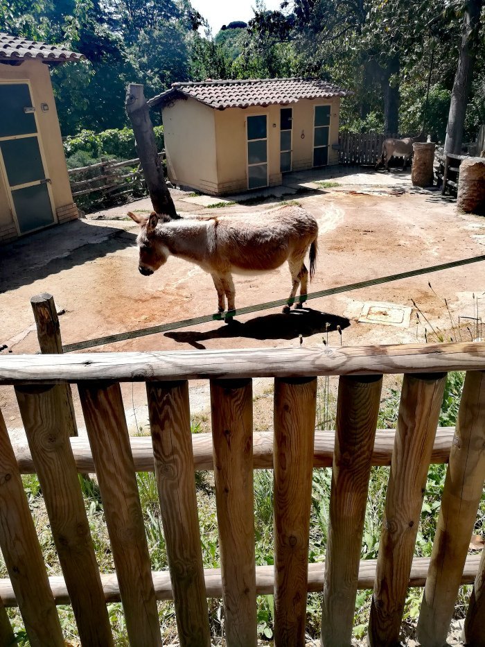 bioparco di roma