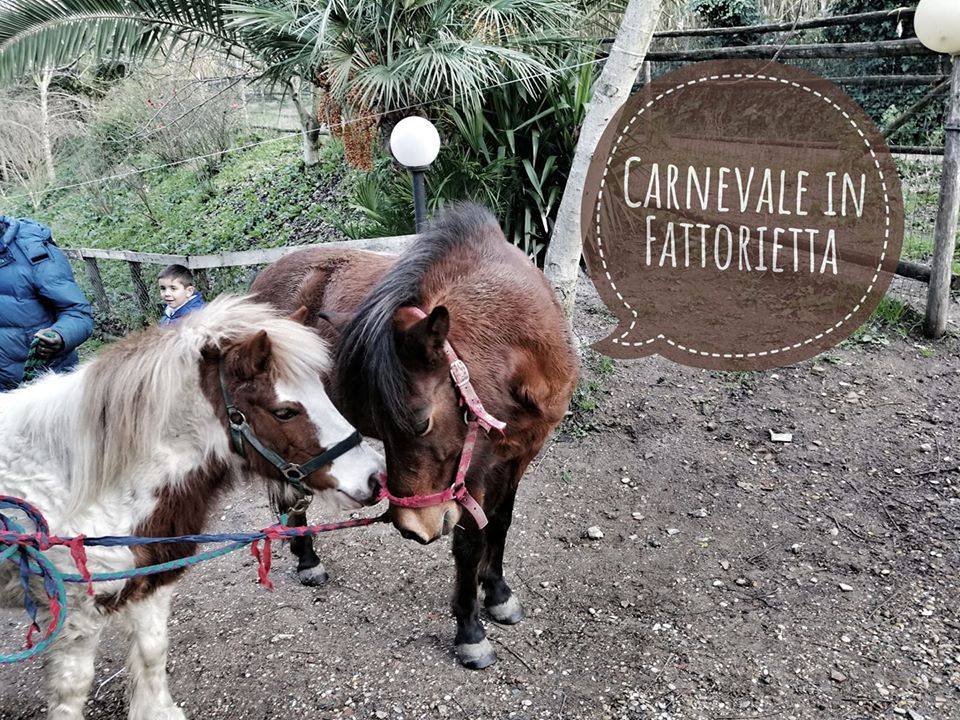 carnevale in fattoria didattica laboratorio per bambini roma