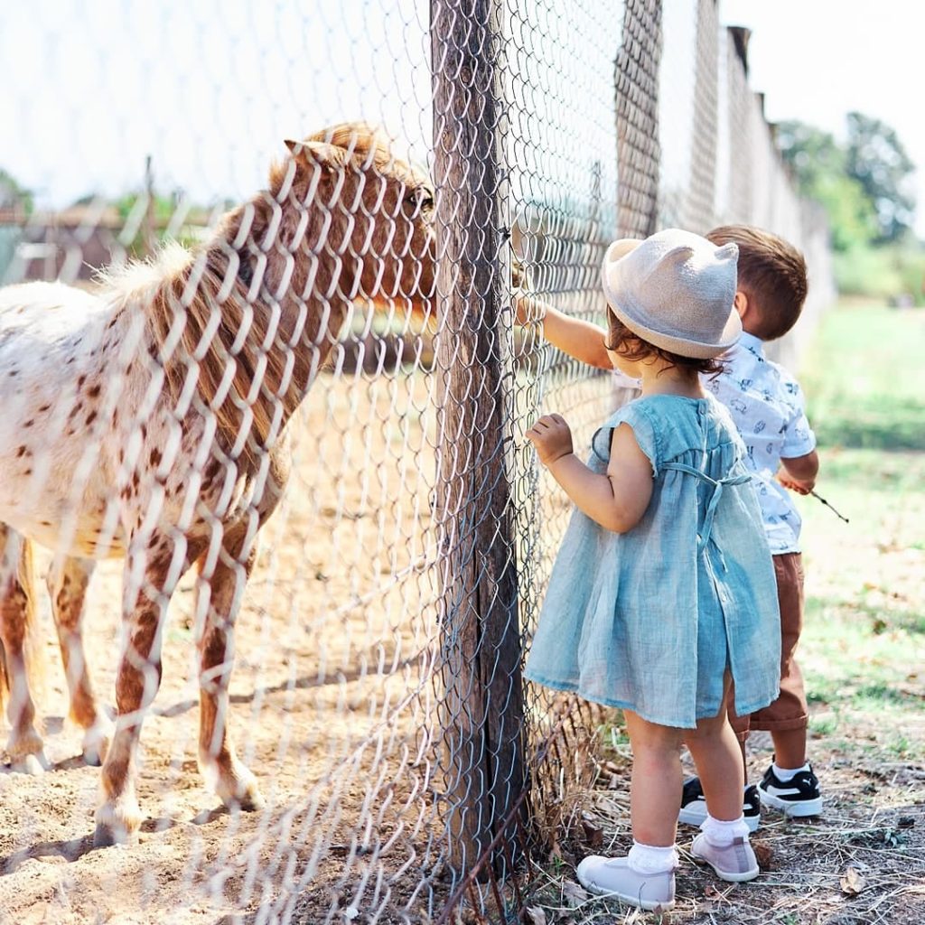 cosa fare con i bambini a Roma nel fine settimana weekend FATTORIA DIDATTICA