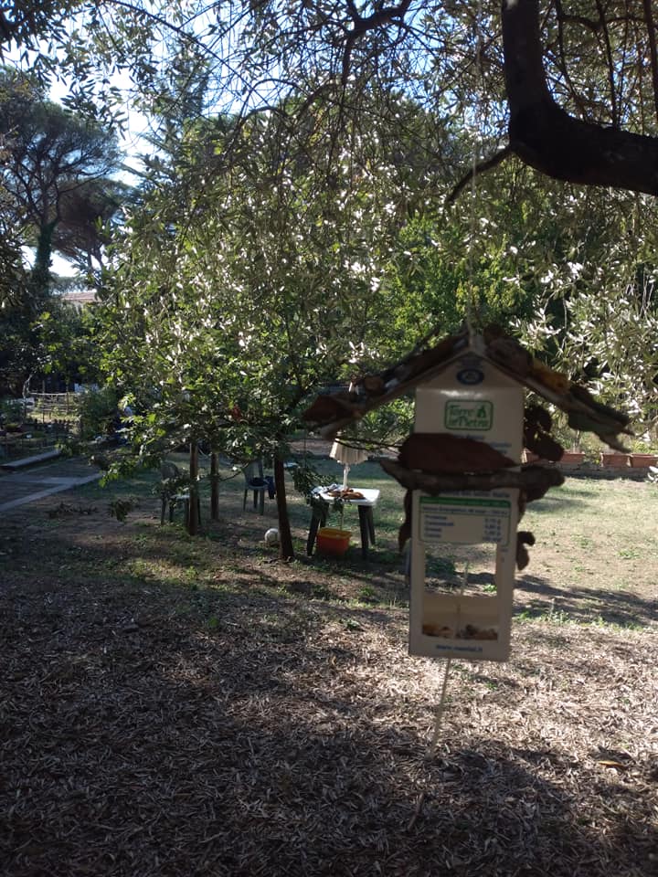 cosa fare con i bambini a roma nel fine settimana campagna