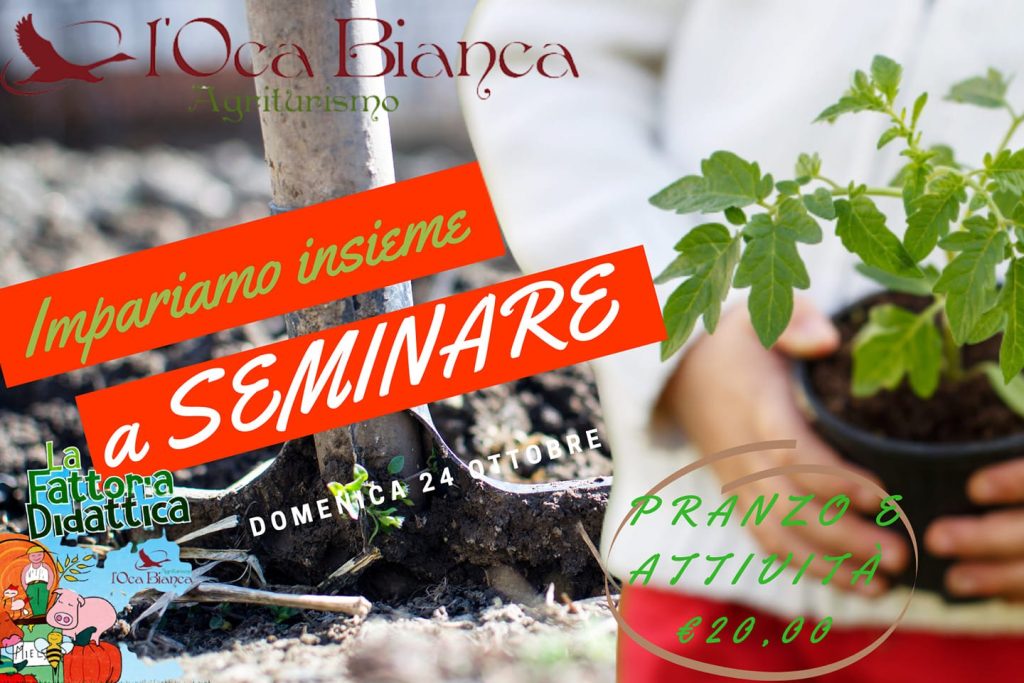 cosa fare con i bambini a roma weekend 23 e 24 ottobre agriturismo