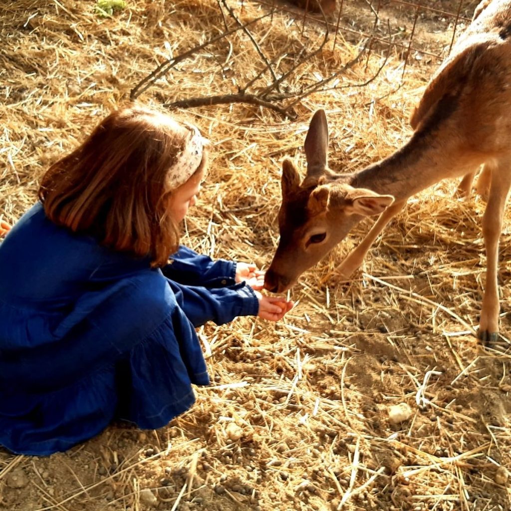 cosa fare con i bambini a roma weekend 23 e 24 ottobre natura fattoria