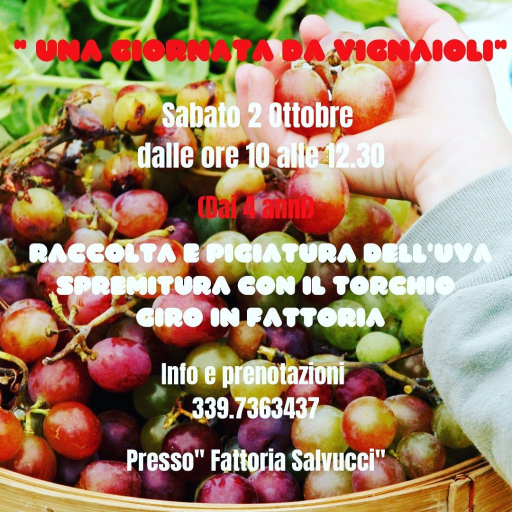 cosa fare nel weekend a roma con i bambini fine settimana fattoria didattica vendemmia