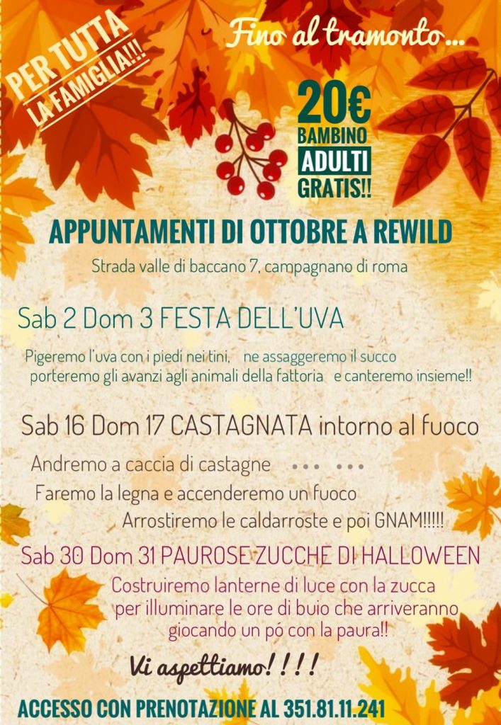 cosa fare nel weekend a roma con i bambini fine settimana vendemmia