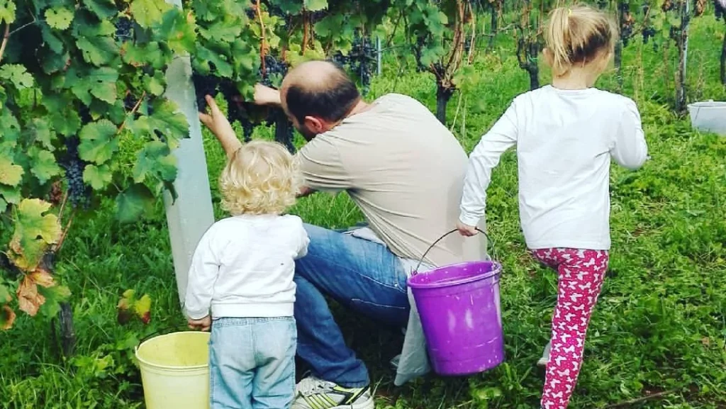 vendemmia con i bambini roma lazio