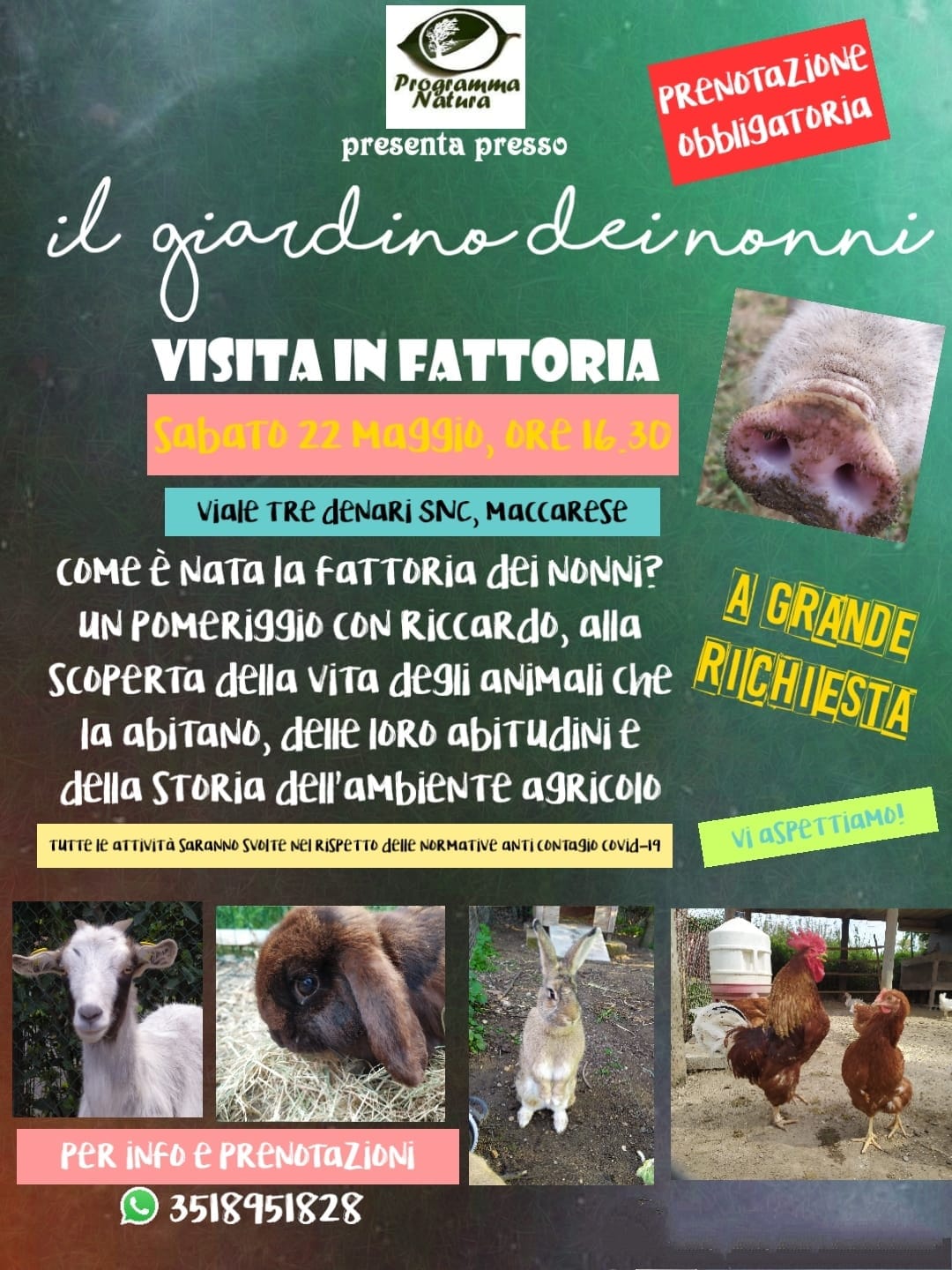 fattoria didattica bambini maccarese animali