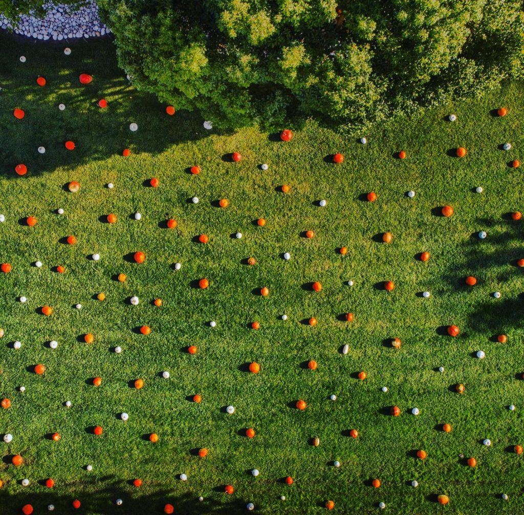 il giardino delle zucche caserta