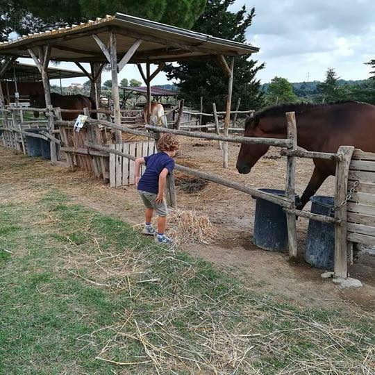 la collina storta location campagna giardino feste bambini roma