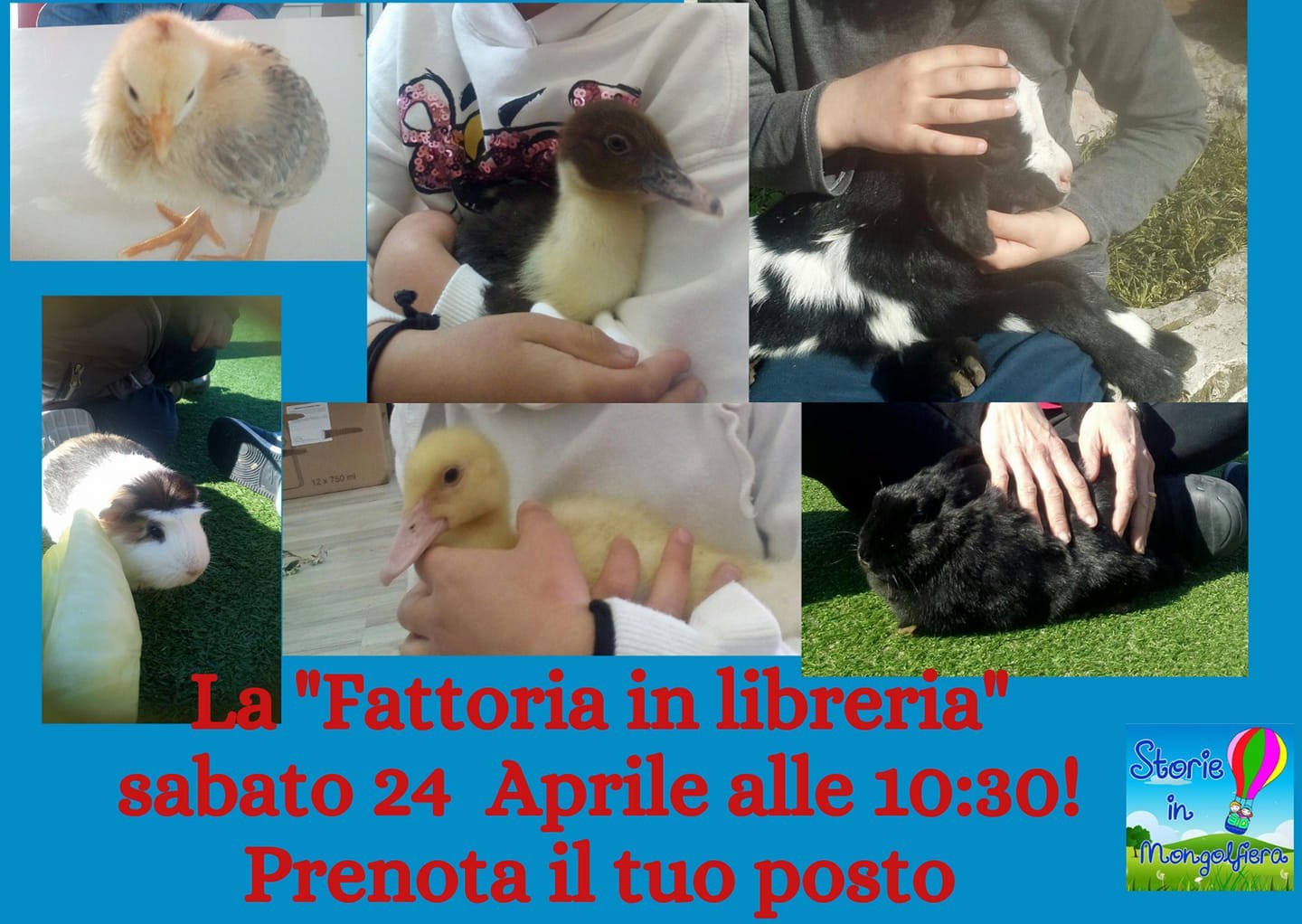 la fattoria in libreria evento per bambini roma