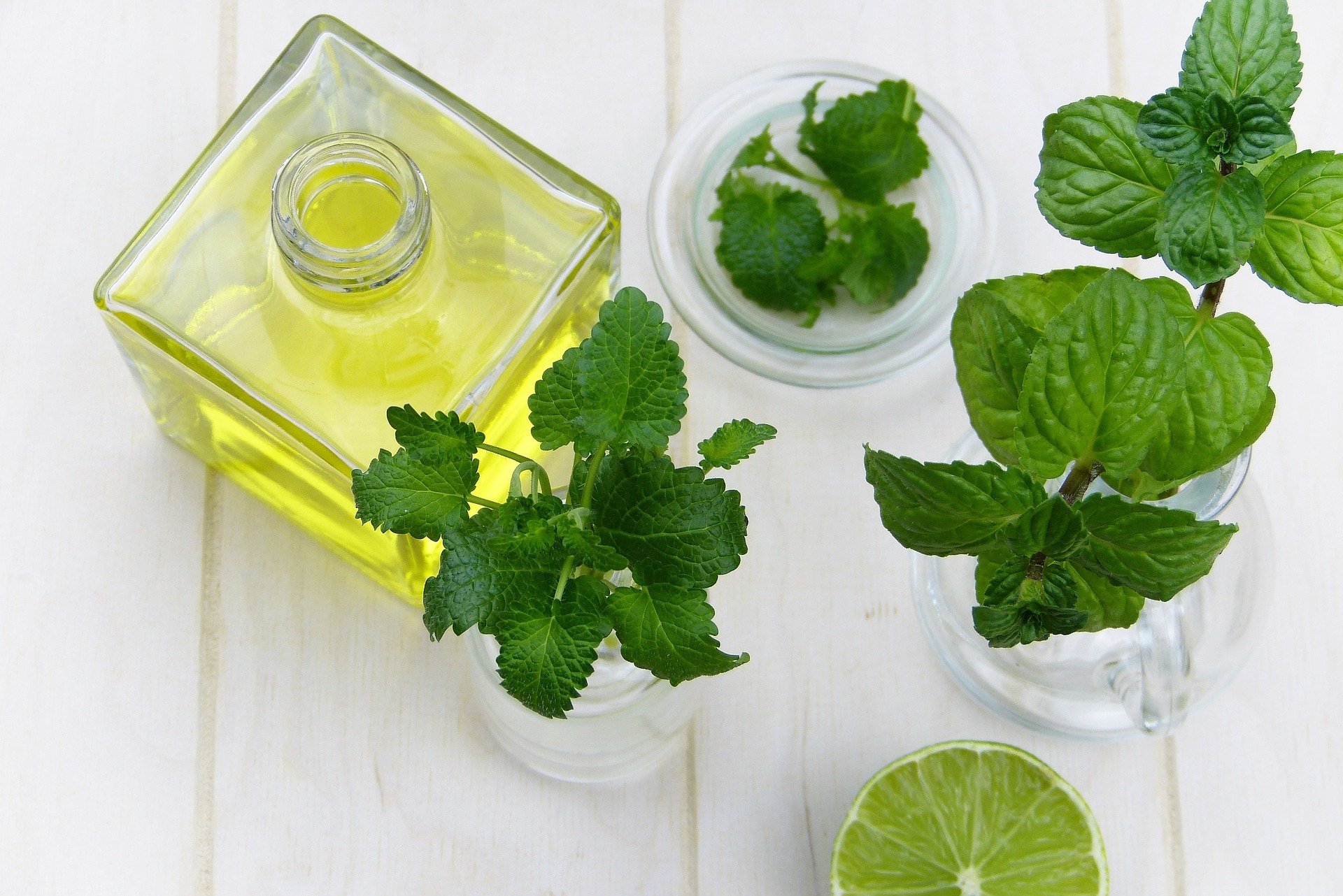 olio essenziale di menta piperita per bambini e donne in gravidanza