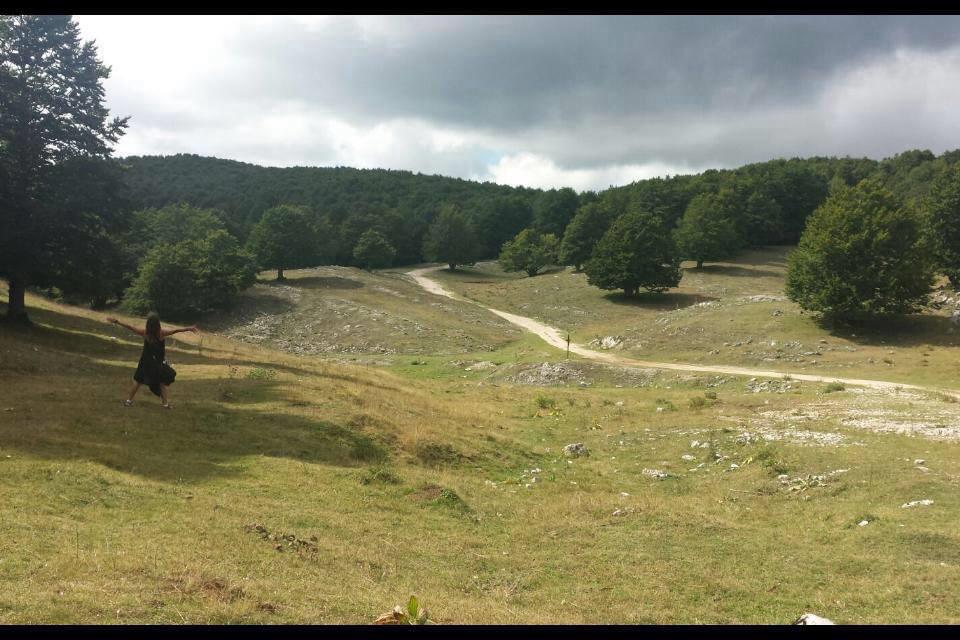 natura sconfinata campo dell'osso