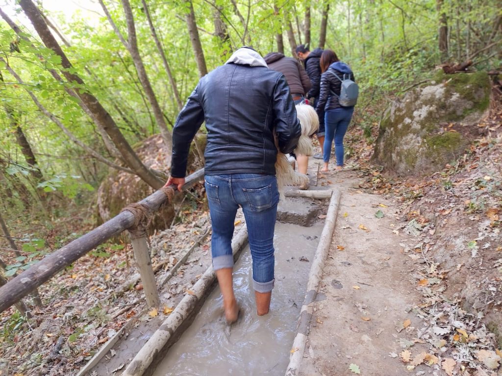 parco cinque sensi vitorchiano bosco bambini roma viterbo 7