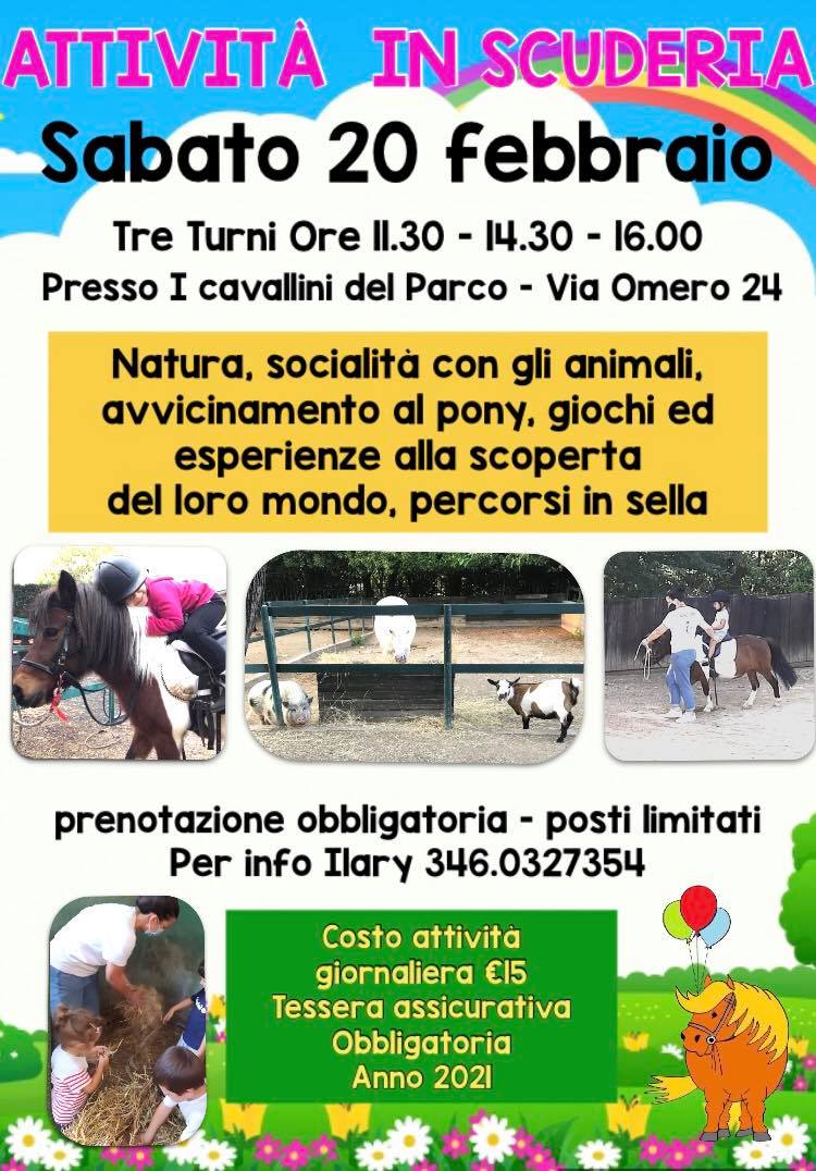 pony per bambini roma