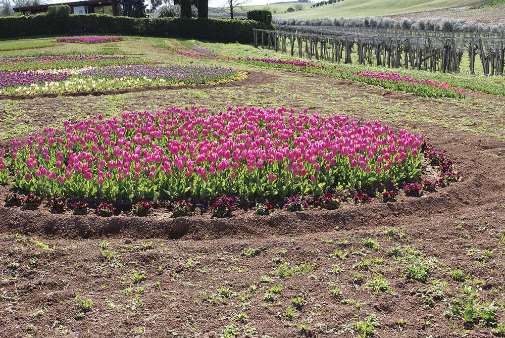 roma flower park roma parco fiori