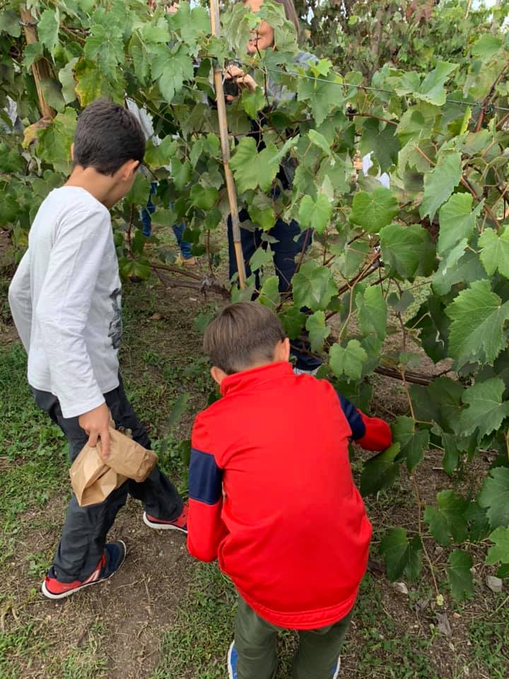 scuola primaria asilo outdoor roma tuscolana vigneto