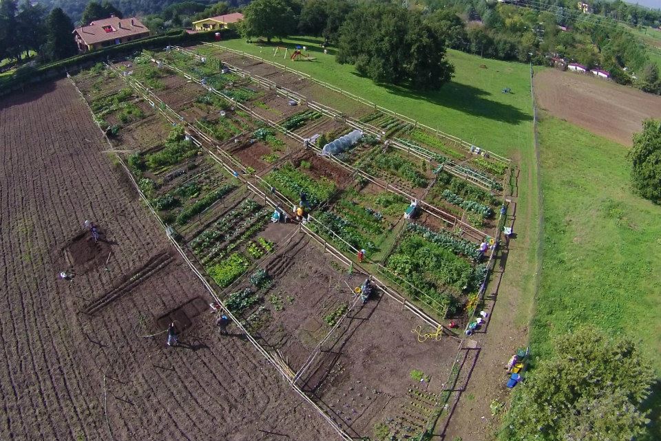 vendemmia con i bambini ORTI DI VEIO ROMA