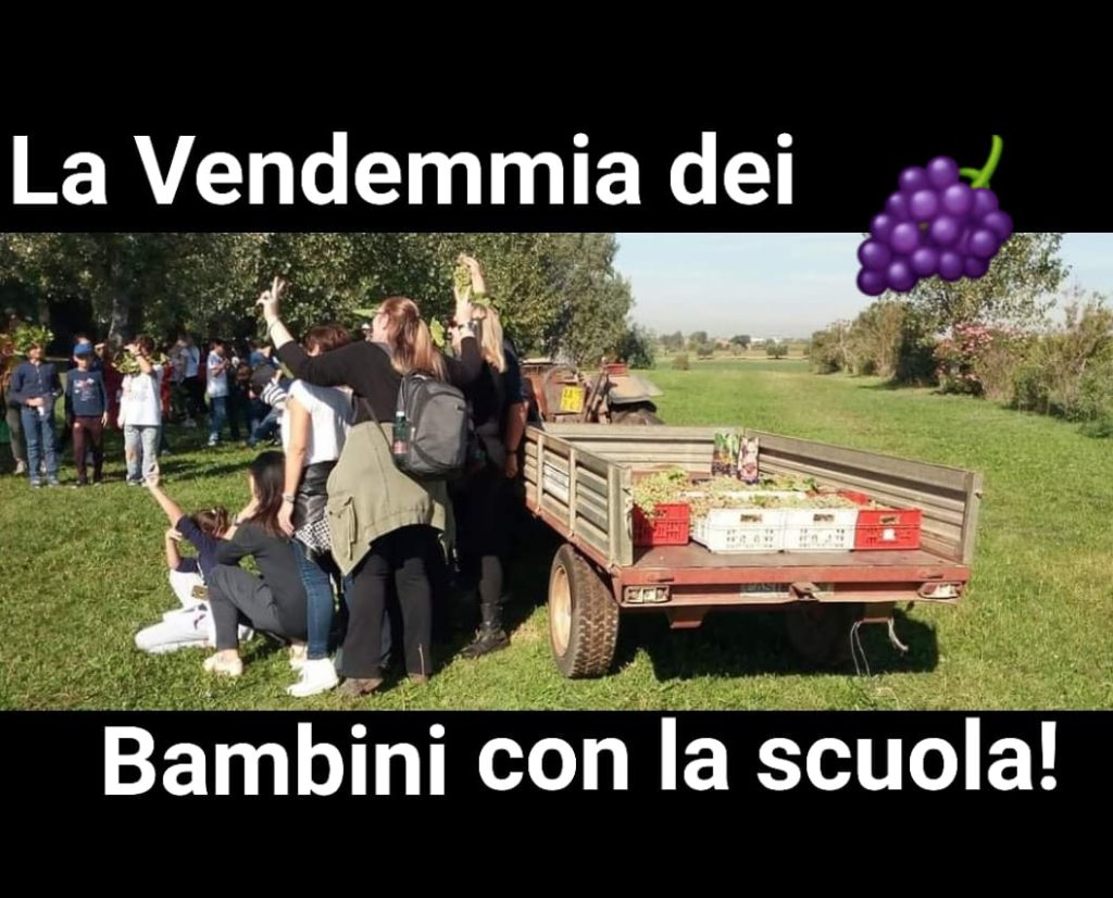 vendemmia con i bambini genzano donnardea ardaea roma