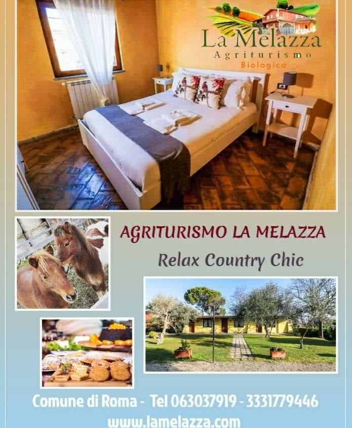 weekend agriturismo comune di roma la melazza cesano