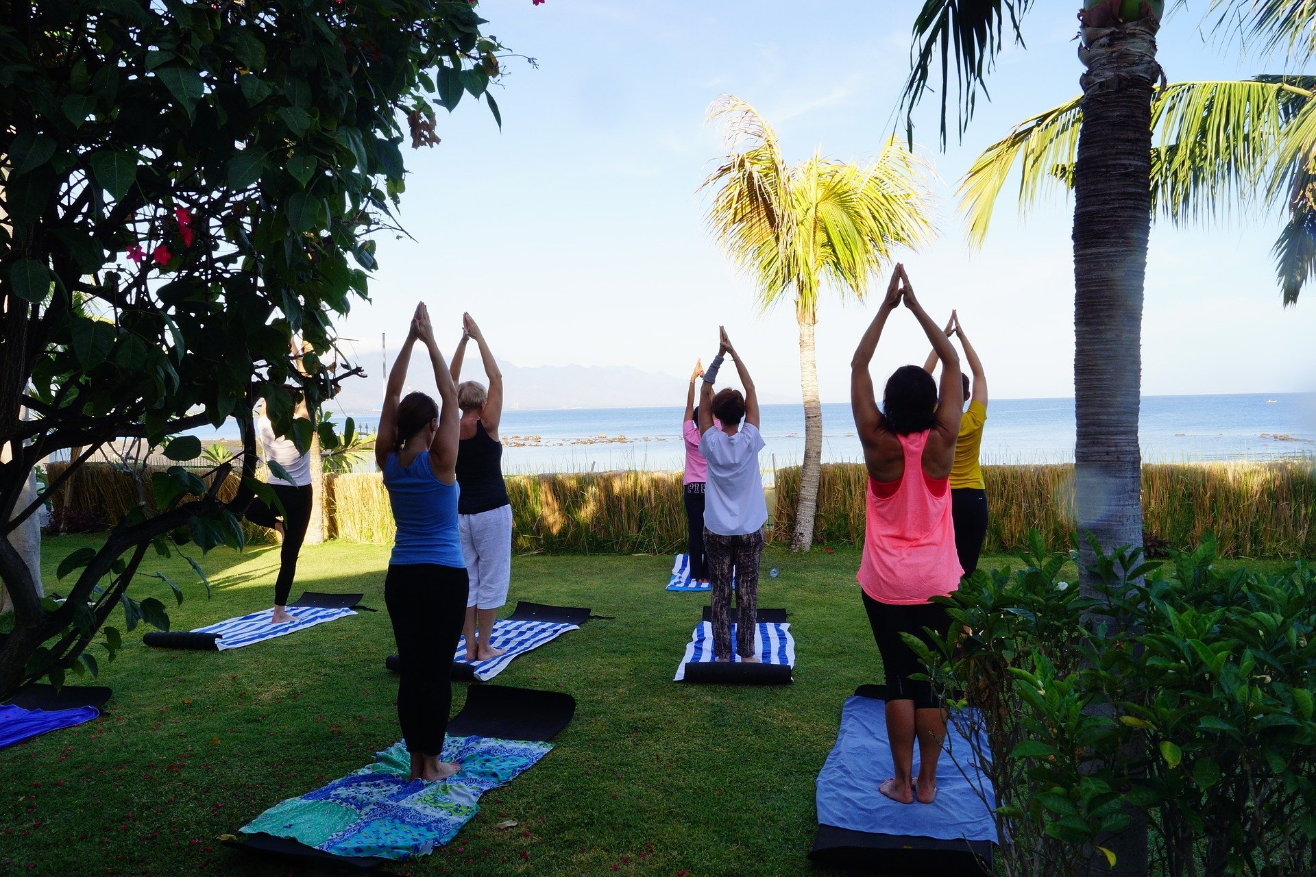 yoga albero