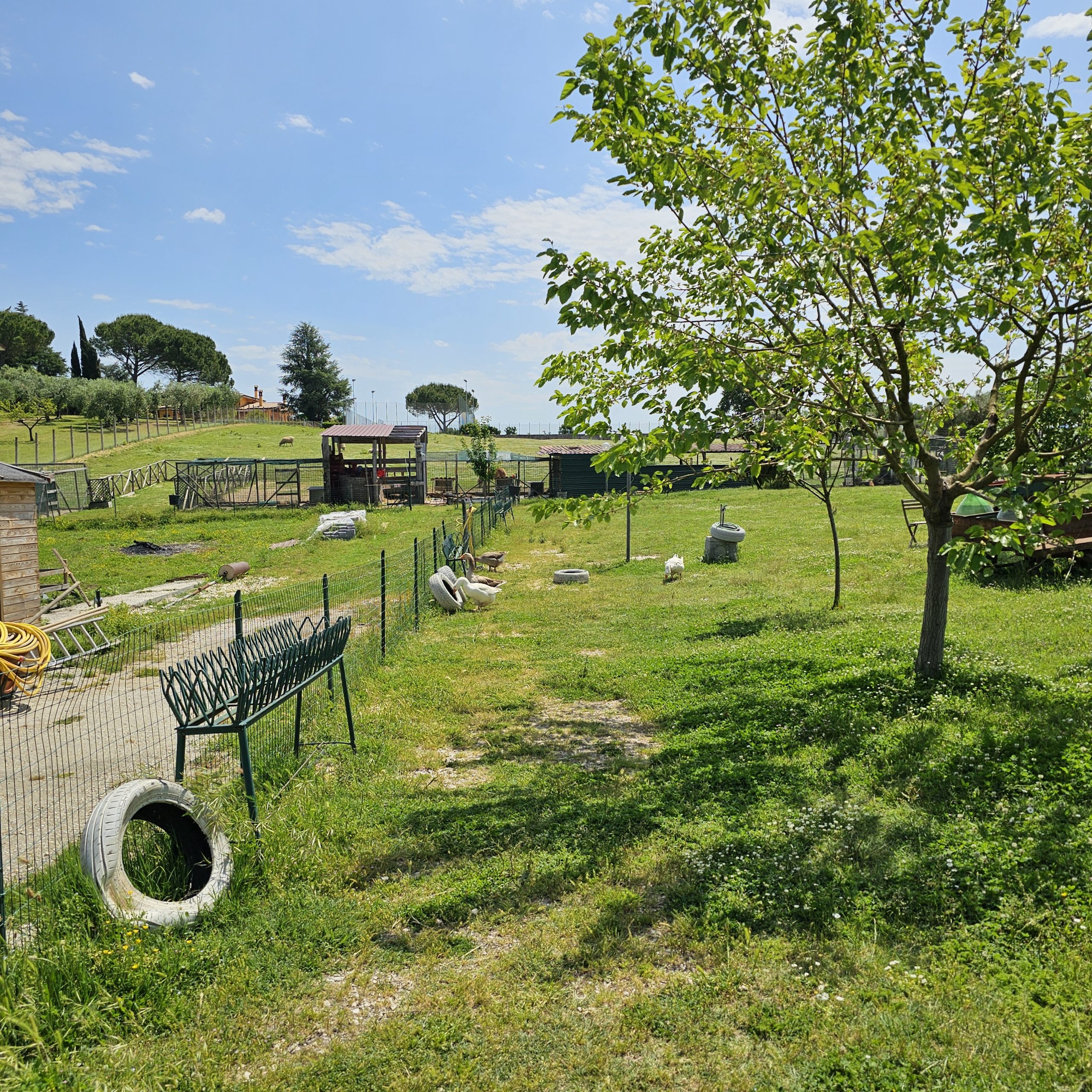 agriturismo ristorante per bambini a roma con animazione