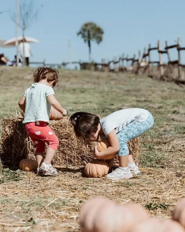 campo delle zucche roma fattoria didattica