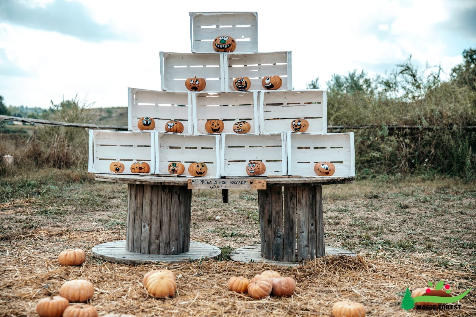 campo delle zucche roma feste per bambini